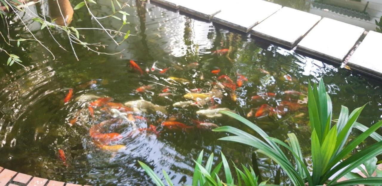 Konklor Hotel Kon Tum Dış mekan fotoğraf